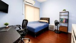 Thomson Park (D20), Terrace #595163811